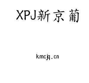 深圳市XPJ新京葡电子有限公司官网